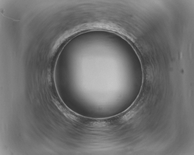 X0000073861499200608101237