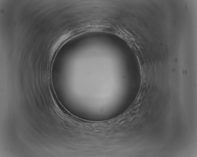 X0000073860003200608170954