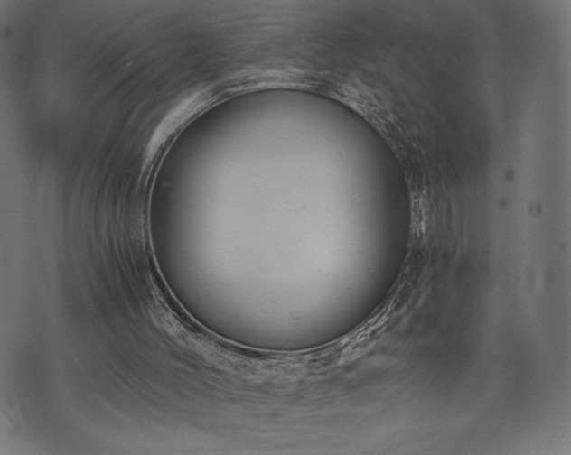 X0000073860004200608170954