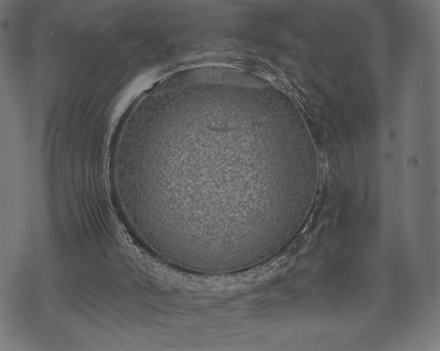 X0000073860006200608170954