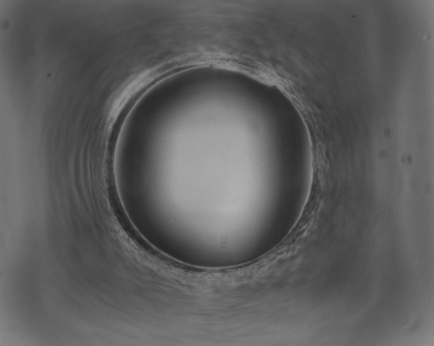 X0000073860007200608170954