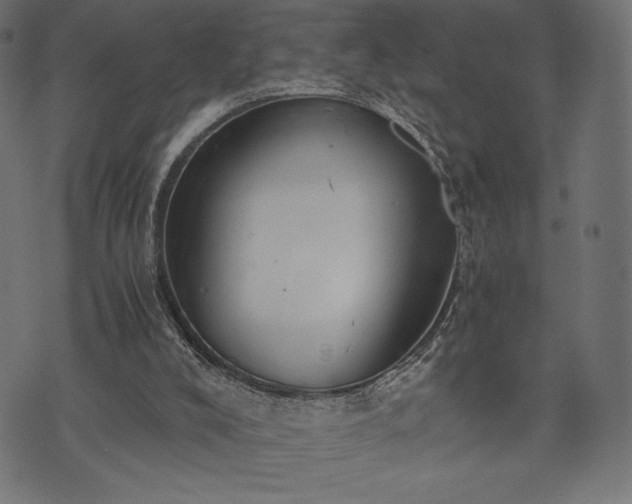 X0000073860008200608170954