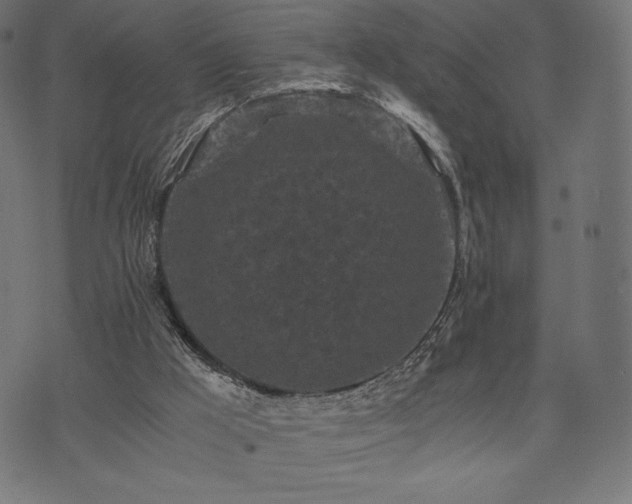 X0000073860009200608170954