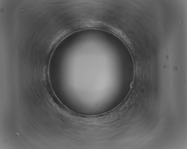 X0000073860010200608170954