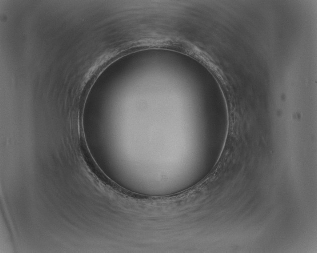 X0000073860011200608170954