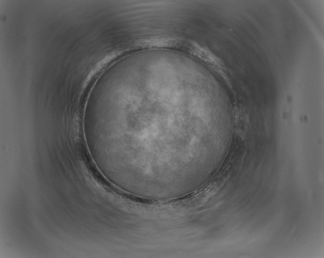 X0000073860012200608170954