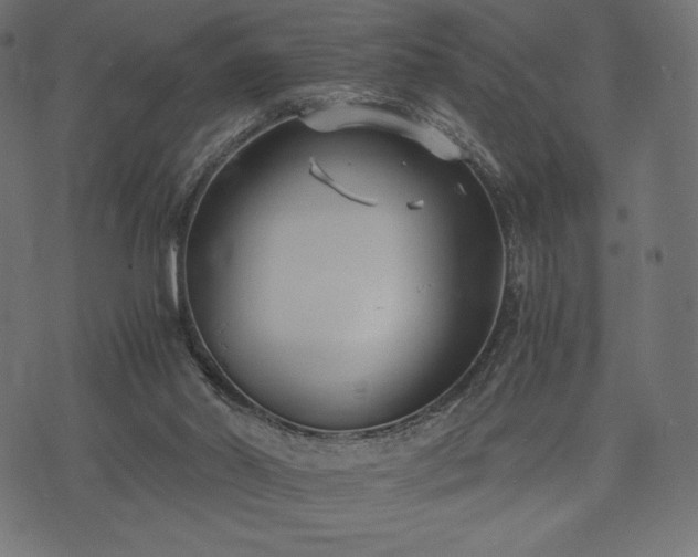 X0000073860014200608170954