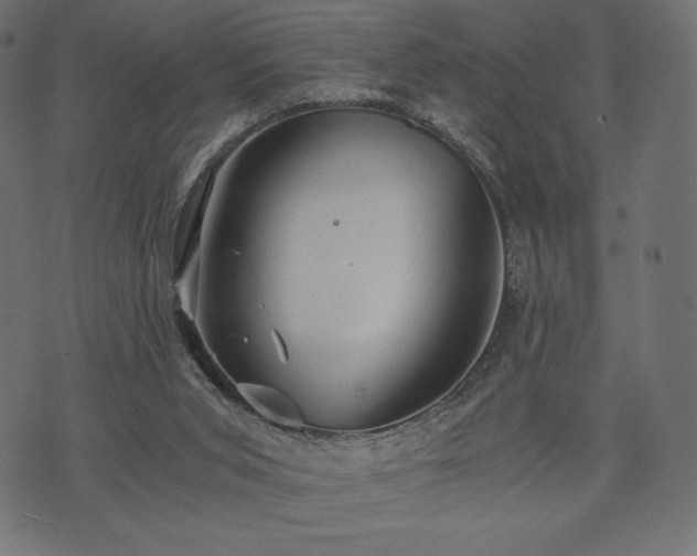 X0000073860015200608170954