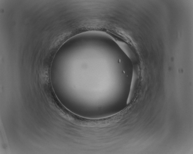 X0000073860017200608170954