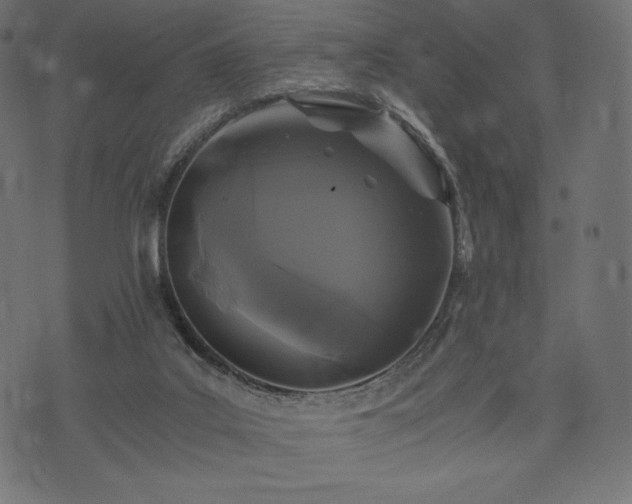 X0000073860019200608170954