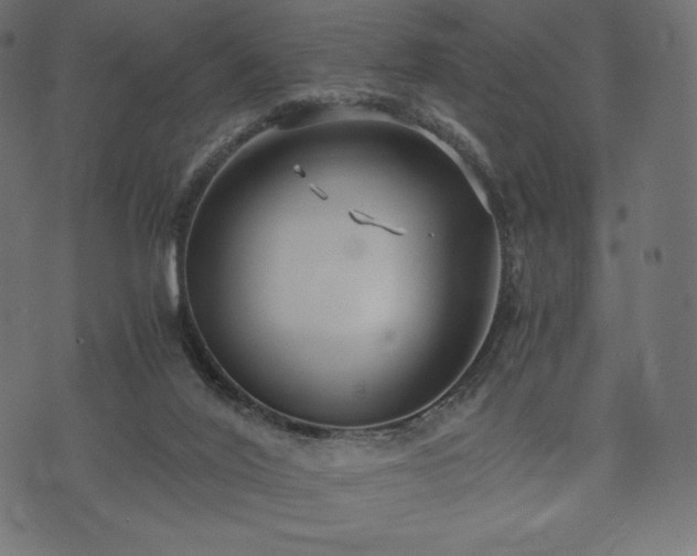 X0000073860020200608170954