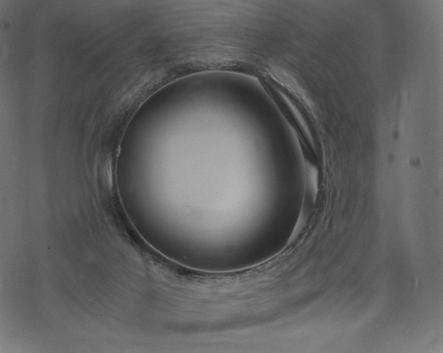 X0000073860021200608170954