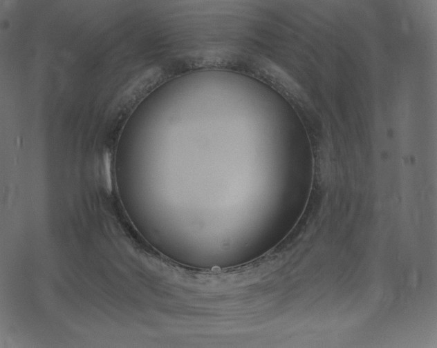 X0000073860022200608170954