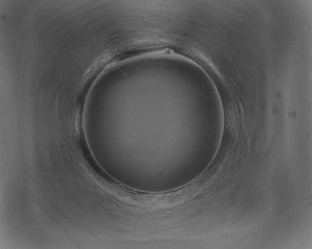 X0000073860023200608170954