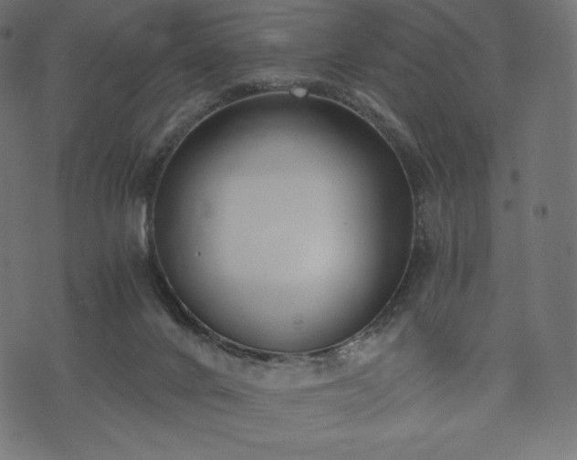 X0000073860024200608170953