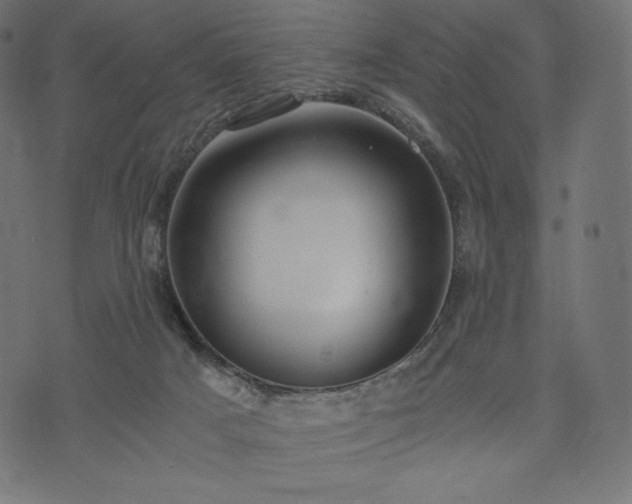 X0000073860025200608170953