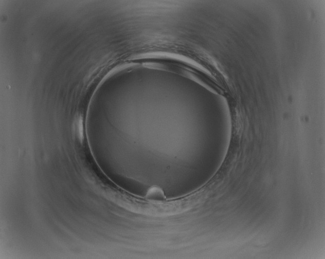 X0000073860027200608170953