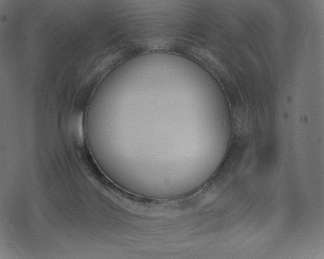 X0000073860028200608170953