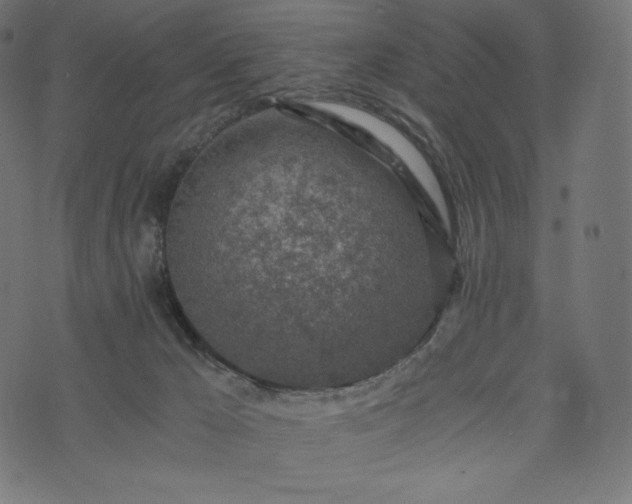 X0000073860029200608170953