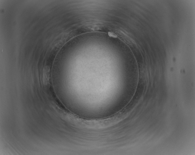 X0000073860030200608170953