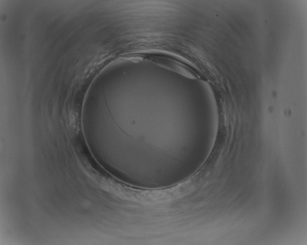 X0000073860031200608170953