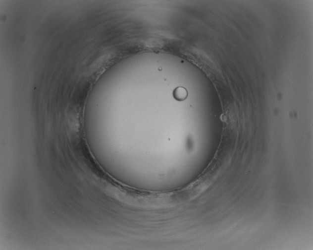 X0000073860032200608170953