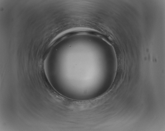 X0000073860033200608170953