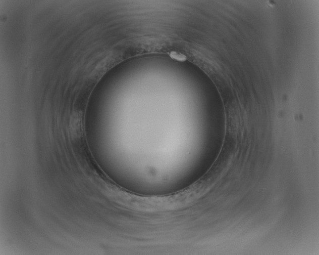 X0000073860034200608170953