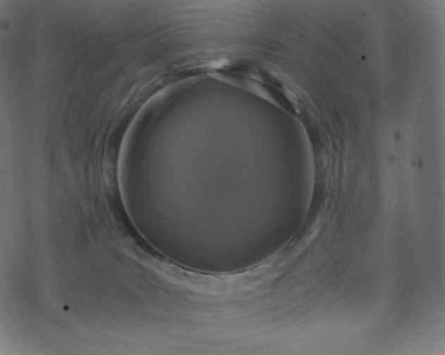 X0000073860035200608170953