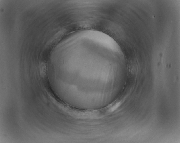 X0000073860036200608170953