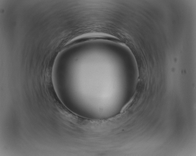 X0000073860037200608170953