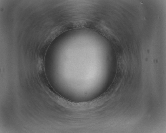 X0000073860038200608170953