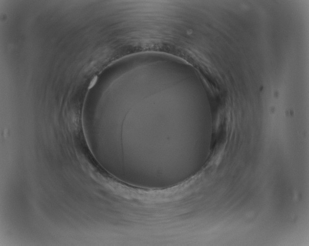 X0000073860039200608170953