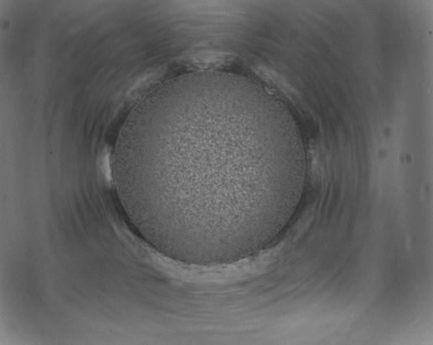 X0000073860042200608170953