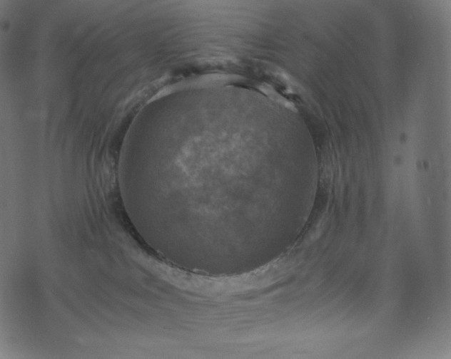 X0000073860043200608170953