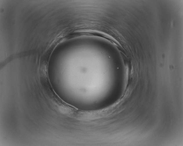 X0000073860045200608170953