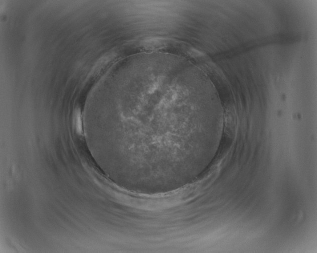 X0000073860046200608170953