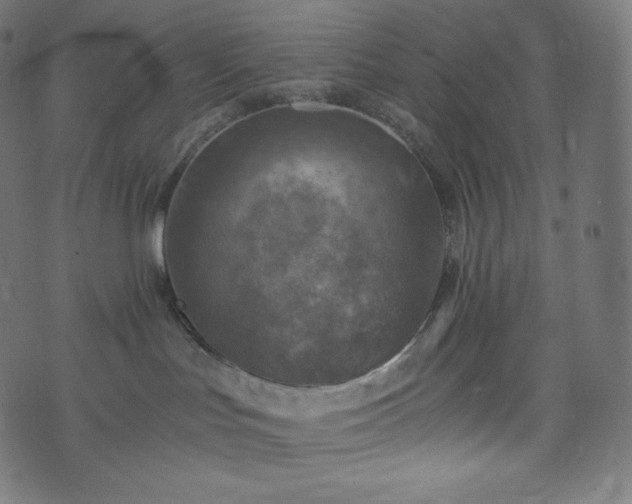 X0000073860047200608170953