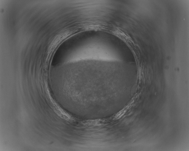 X0000073860049200608170952