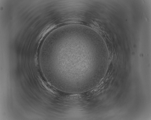 X0000073860050200608170952