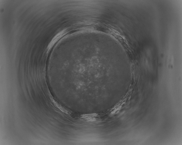 X0000073860051200608170952