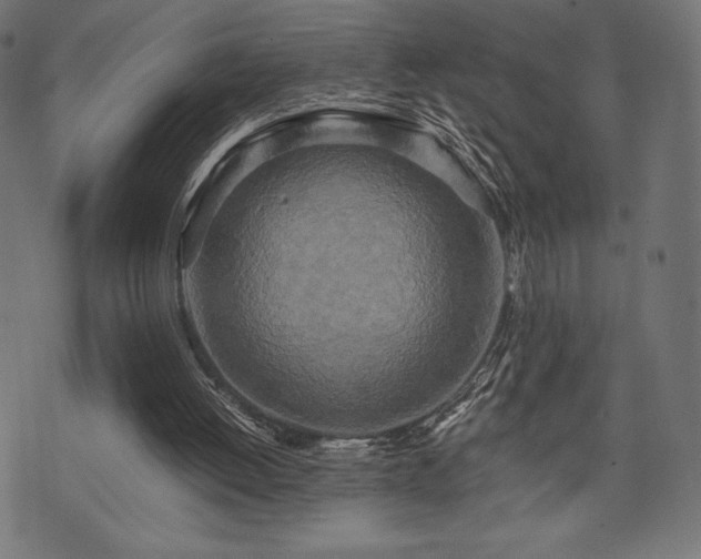 X0000073860052200608170952