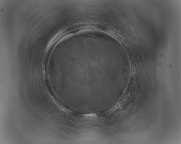 X0000073860053200608170952