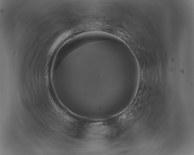 X0000073860054200608170952