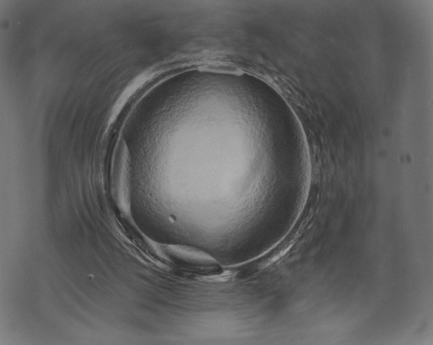 X0000073860056200608170952