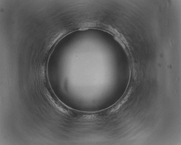 X0000073860057200608170952