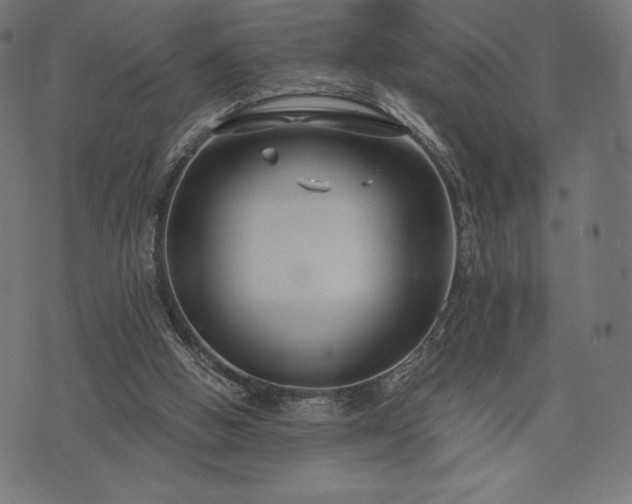 X0000073860058200608170952