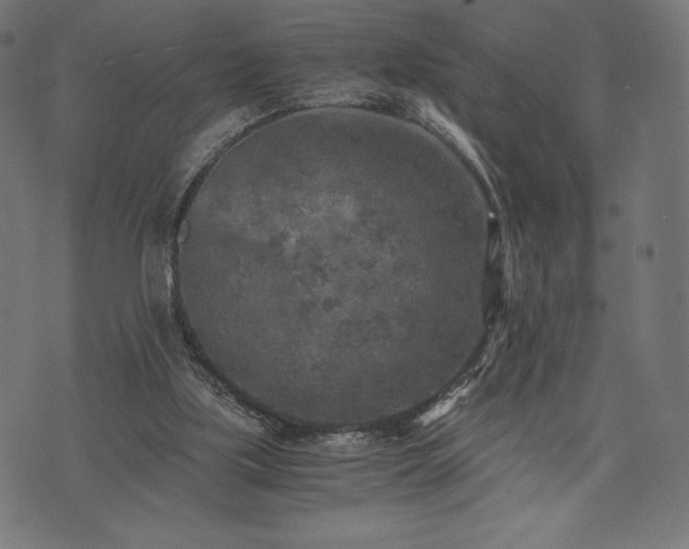 X0000073860059200608170952