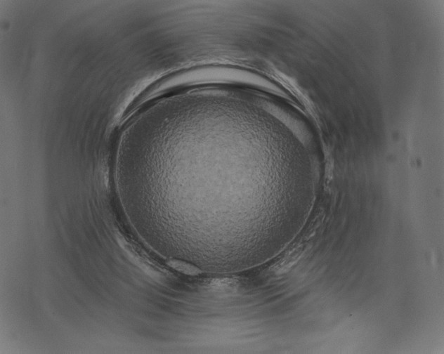 X0000073860060200608170952