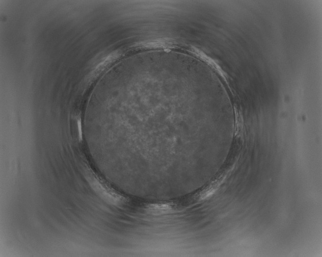 X0000073860061200608170953